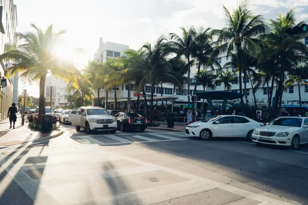 Tráfico en una calle con palmeras en Miami