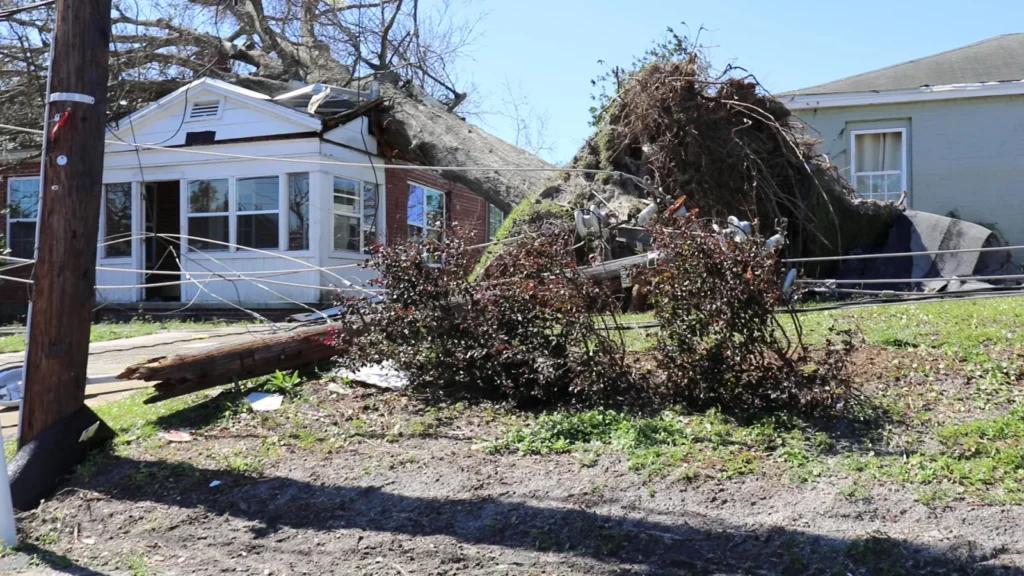 Hurricane damage insurance claim in Florida: a fallen tree damaged a home in Panama City