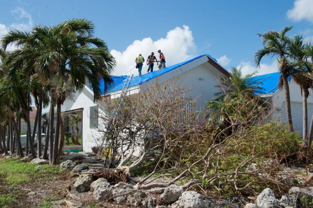 Tarping a roof to stop more hurricane isaias damage: workers cover a storm-damaged Florida roof